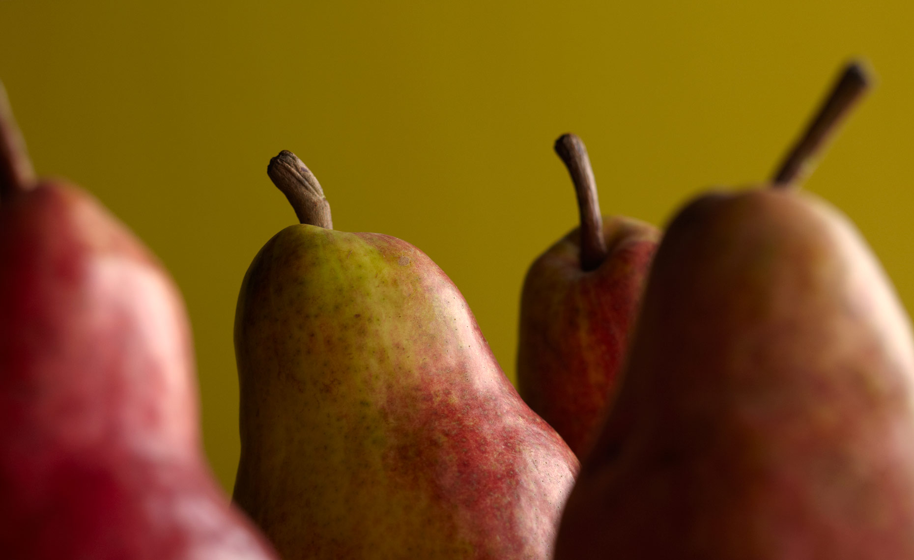Andy-Post-Food-Photography-Red-Pears